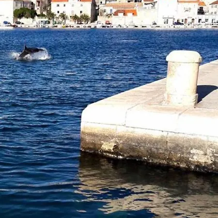 Apartamento Elena Milna (Brac)