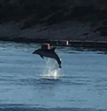 Elena شقة ميلنا