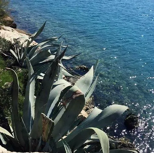 Elena Apartment Milna (Brac)
